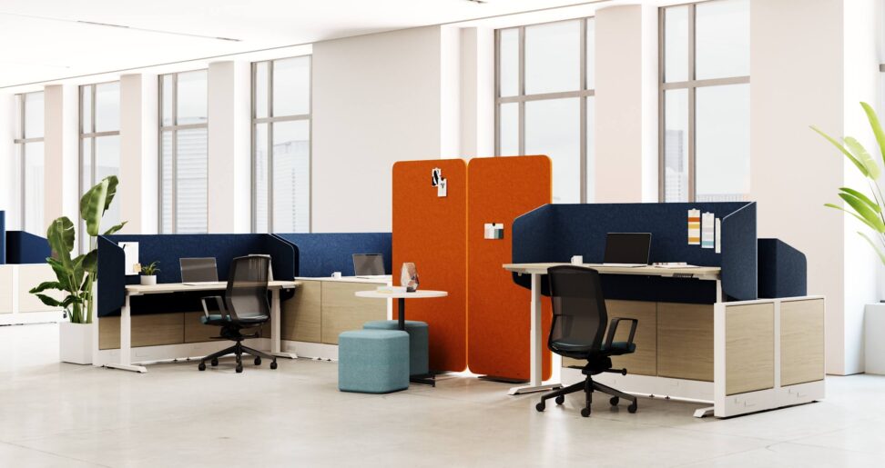 OFFICE FURNITURE, PET, ACCOUSTICS, OFFICE DESIGN