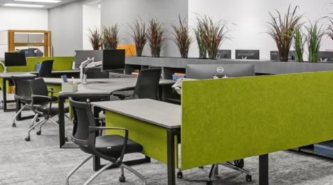 Trailblazing Women Designers: Driving Tayco’s New Office Renovation